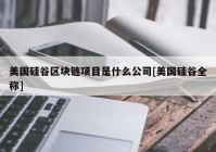 美国硅谷区块链项目是什么公司[美国硅谷全称]