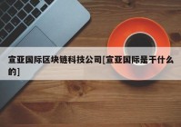 宣亚国际区块链科技公司[宣亚国际是干什么的]